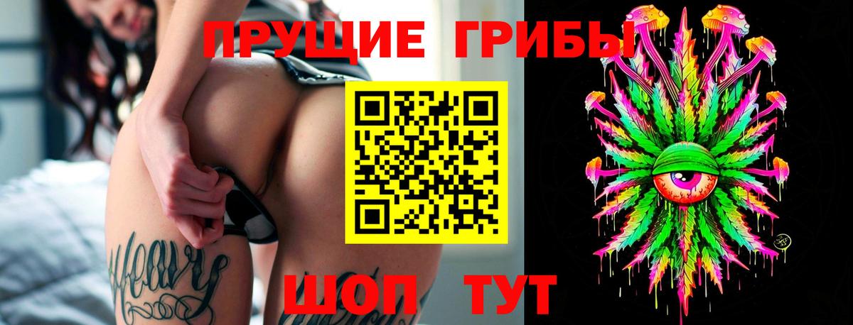 Псилоцибиновые грибы прущие грибы Сегежа